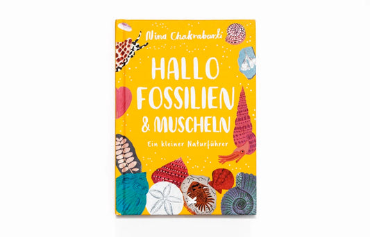 Laurence King Halo Fossilien & Muscheln, Ein kleiner Naturführer