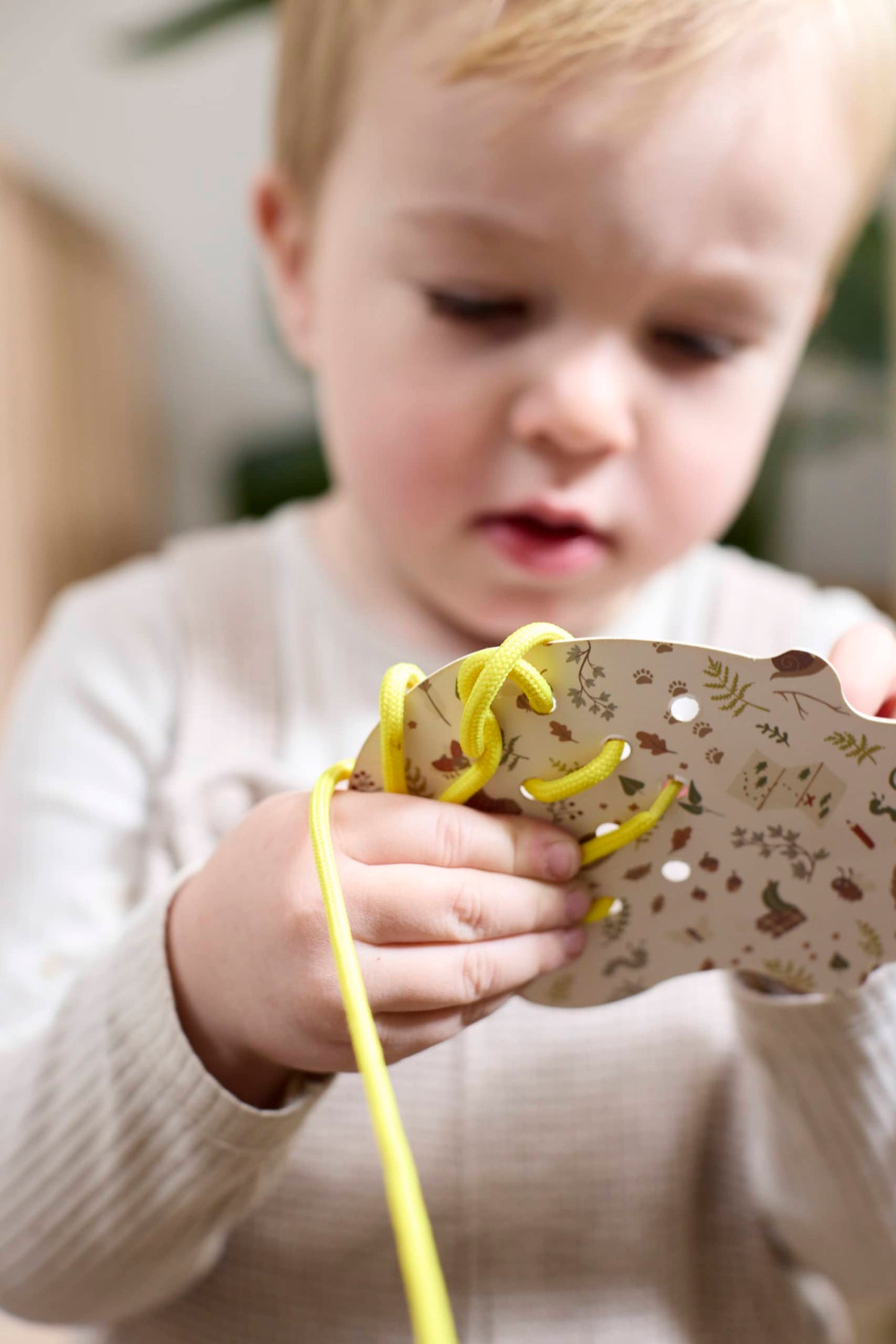 Filibabba Stick-Set, Sticken für Kinder, Waldfreunde